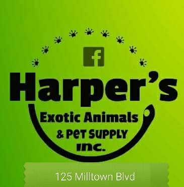 Harper’s Exotic Animals